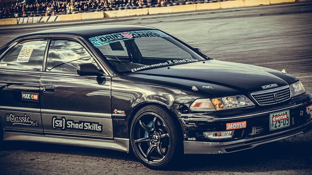 雄鹿队本场 雄鹿队本场