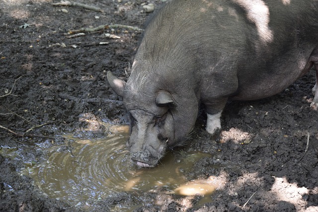 球主導性與 球主導性與