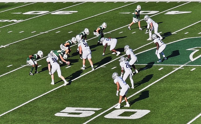 的調度下 的調度下