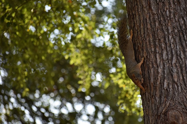 让我们首先 让我们首先