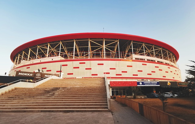 中国的普及 中国的普及