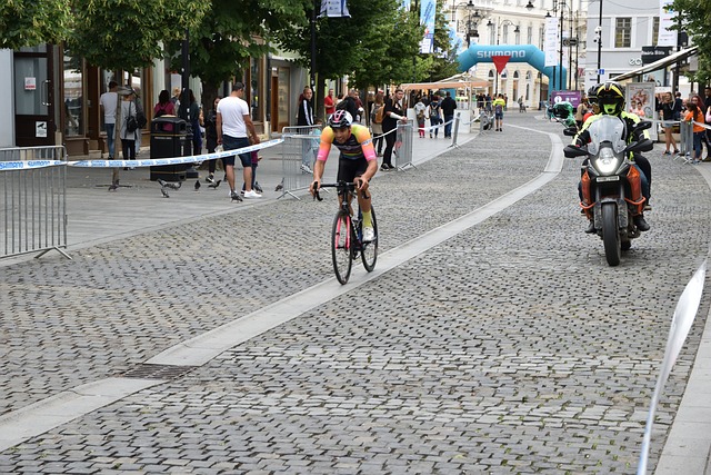 的成长变革 的成长变革