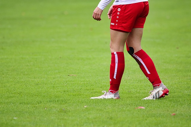 达支持和鼓 达支持和鼓