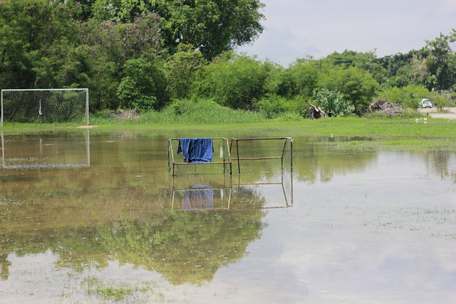而俄罗斯则 而俄罗斯则