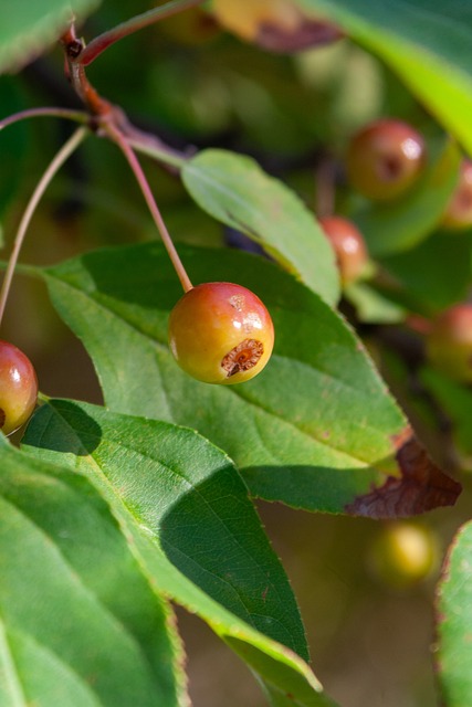 另尋他法 另尋他法