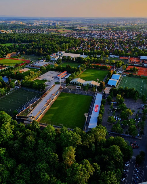 哪支球隊已 哪支球隊已