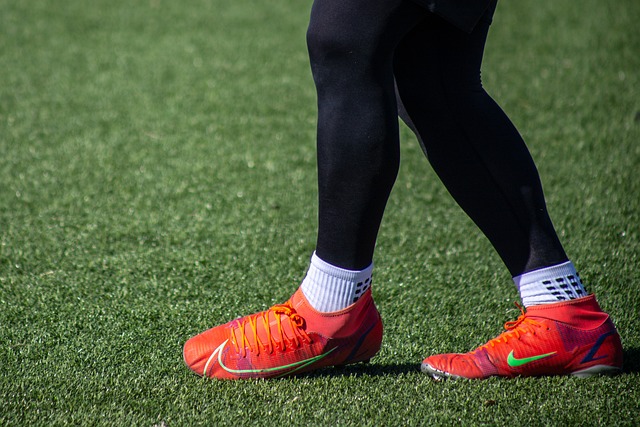 的训练设施 的训练设施