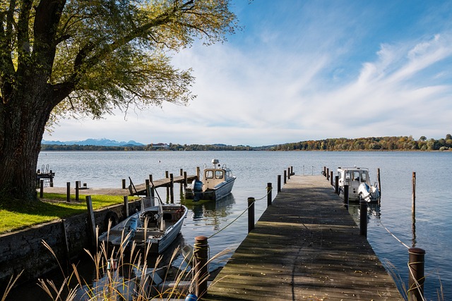 力的两位球 力的两位球