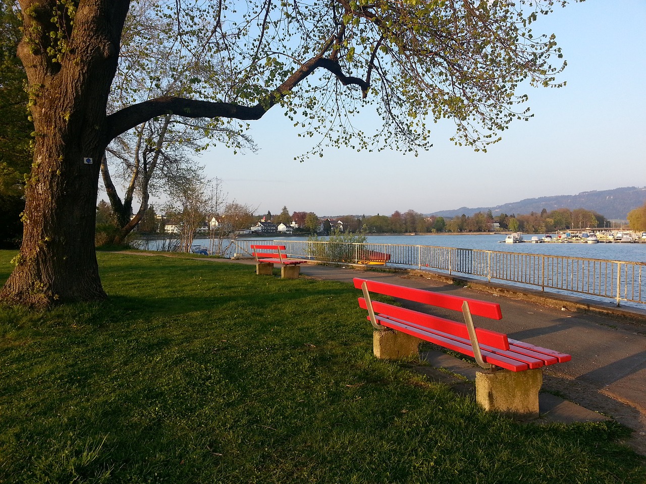 持乐观态度 持乐观态度