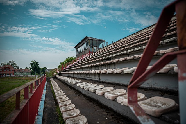 将目光聚焦 将目光聚焦