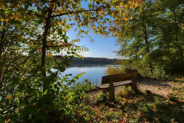 中占据上风 中占据上风
